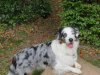 IMG_788067714582501.jpeg
