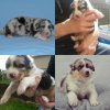 PhotoGrid_1402422323639.jpg