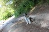 IMG_1244.jpg