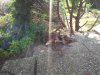 2014-06-07 17.36.09.jpg