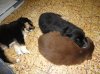 0DSC01302.jpg