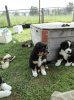 0DSC01316.jpg