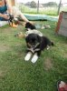 0DSC01317.jpg
