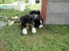 0DSC01321.jpg