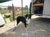 0DSC01330.jpg