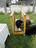 0DSC01349.jpg