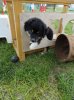 0DSC01351.jpg