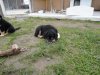 0DSC01352.jpg