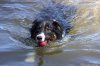 IMG_6911.CR2.jpg