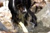 IMG_6592.CR2.jpg