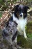 IMG_6687.CR2.jpg