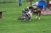 IMG_0255.jpg
