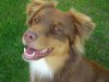 DSCN3218.jpg