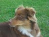 DSCN3214.jpg
