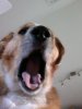2012-09-29-862.jpg
