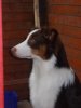 DSCN3162.jpg