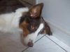 DSCN3367.jpg