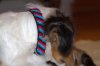 IMG_5059.CR2.jpg