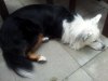 20120518_140736.jpg