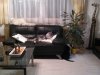 WP_000234.jpg