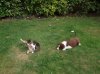 DSCF4233.jpg