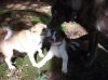 DSCF4783.jpg