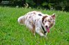 DSC_0685.jpg