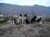 DSCN9208.jpg