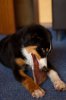 IMG_8062-Bearbeitetk.jpg