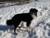 ZaroimSchnee201314.jpg