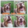 PhotoGrid_1429118452436.jpg