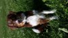 20150623_180035.jpg