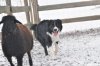 DSC_1234.jpg