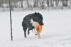 DSC_1282.jpg