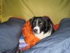 IMG_2546.jpg