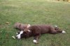Jenna und Luke 20.10.2012 014.jpg