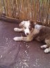 IMG-20120628-WA0000.jpg
