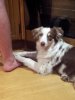 20120923_224104.jpg