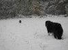 IMG_6519.jpg
