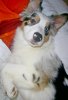 k-PIC_0006.jpg