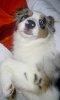 k-PIC_0005.JPG