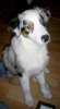 PIC_0016.jpg