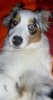 k-PIC_0007.JPG