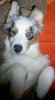 k-PIC_0006.JPG
