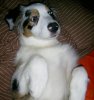 k-PIC_0004.JPG