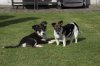 DSC_0135.jpg