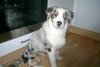 k-PIC_0007.jpg