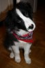 IMG_3061 (533x800).jpg