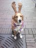 19022012278.jpg