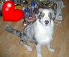 PIC_0011.jpg